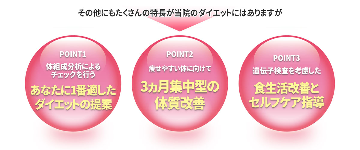 ダイエットの特徴