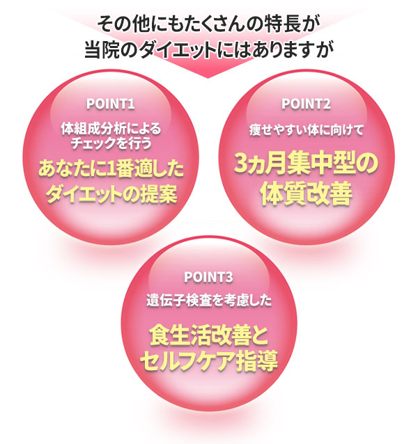 ダイエットの特徴