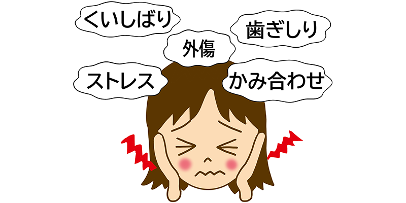 顎関節のイラスト