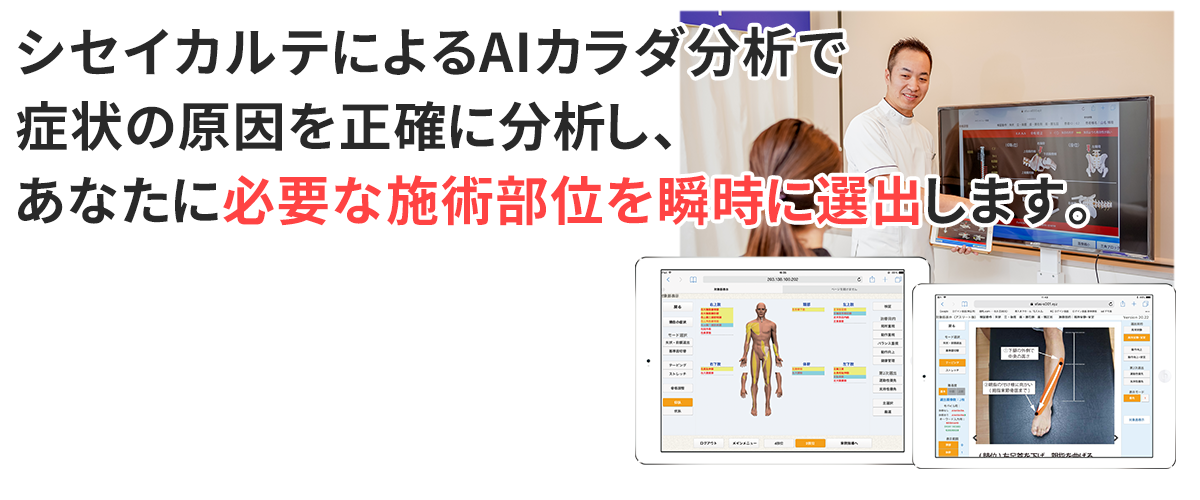 シセイカルテ